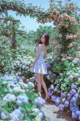 永夜星河 电视剧